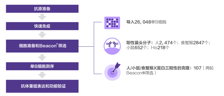 Beacon? Single B Cell Screening Platform case